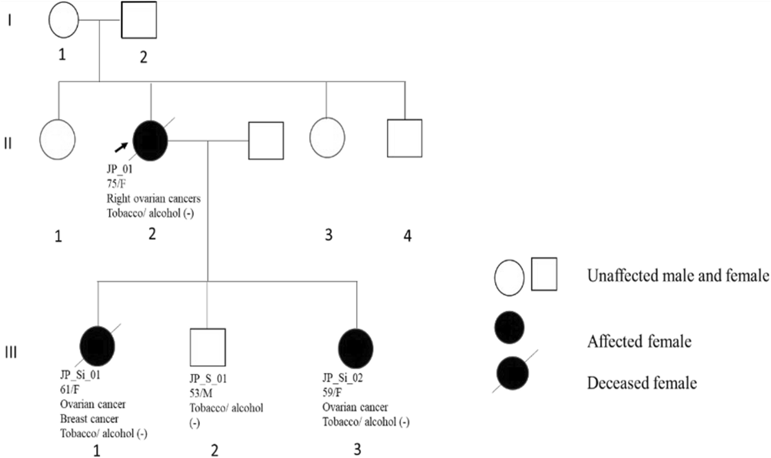 Germline genetic variants in a case of familial cancer: RAD51D and four other co-segregated variants