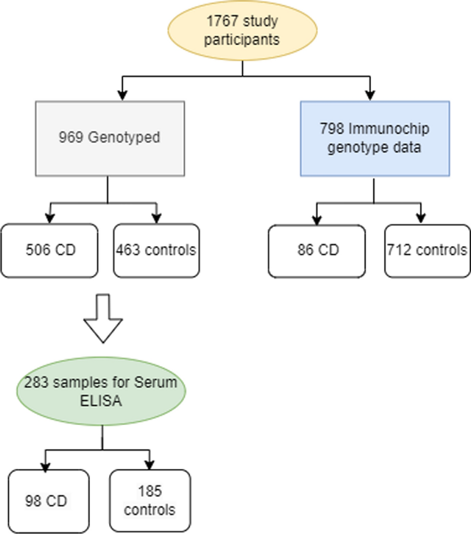 Assessment of the contribution of VDR and VDBP/GC genes in the pathogenesis of celiac disease