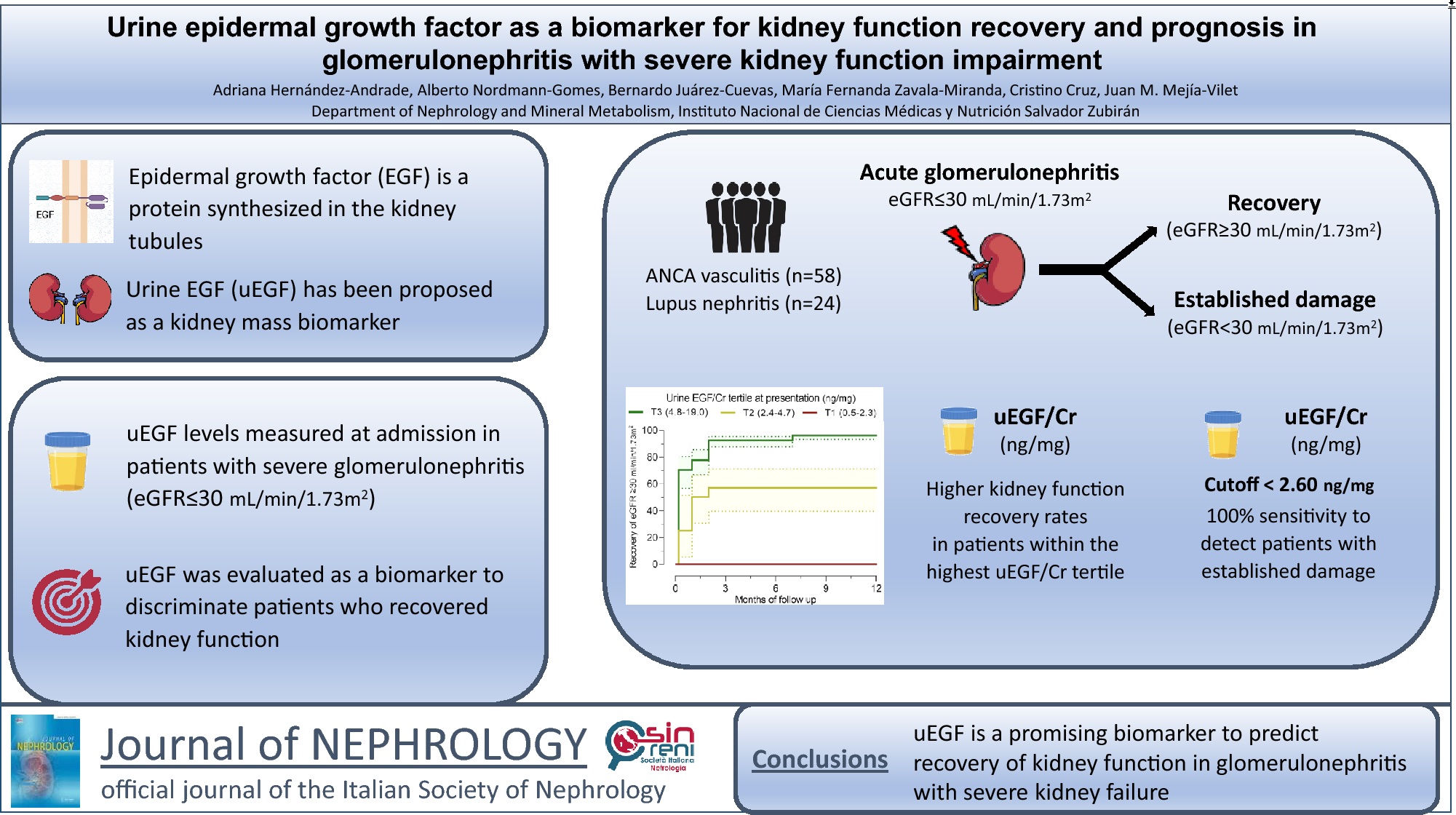 Urine epidermal growth factor as a biomarker for kidney function recovery and prognosis in glomerulonephritis with severe kidney function impairment