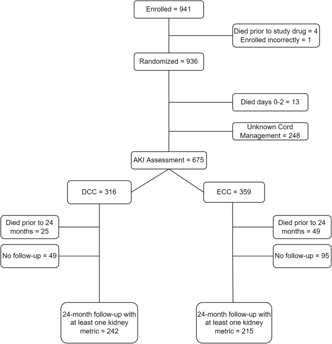 Association of delayed cord clamping with acute kidney injury and two-year kidney outcomes in extremely premature neonates: a secondary analysis of the preterm erythropoietin neuroprotection trial (PENUT)