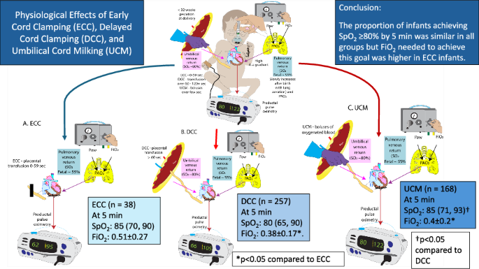 Oxygenation associated with cord management strategies among preterm infants <32 weeks gestation during the transition period