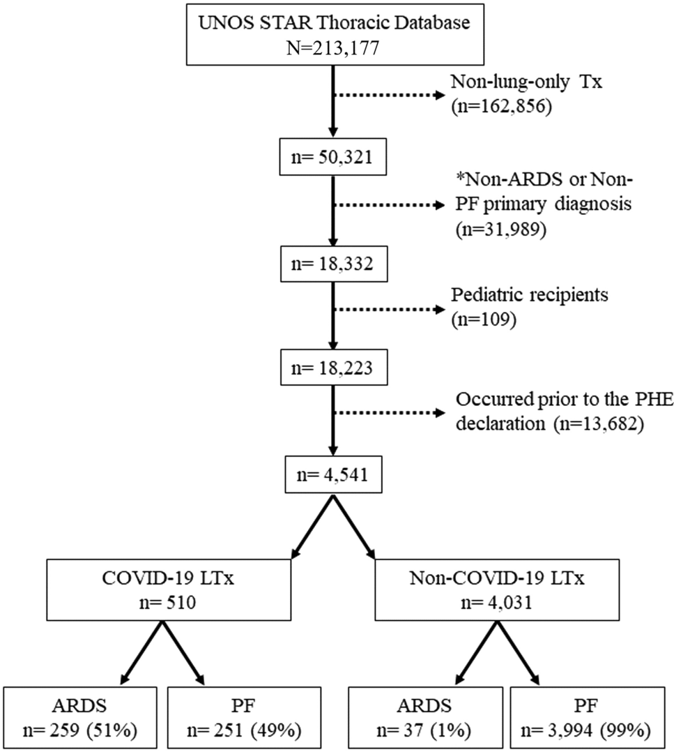 Lung Transplantation in the United States for COVID-19 Related Lung Disease During the Pandemic