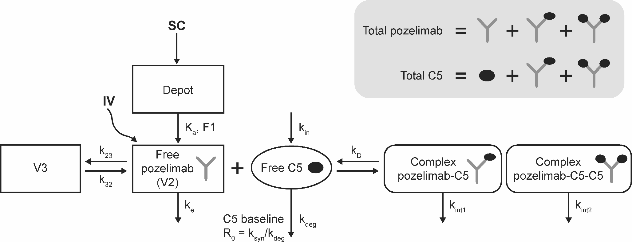 Population pharmacokinetic analyses of pozelimab in patients with CD55-deficient protein-losing enteropathy (CHAPLE disease)