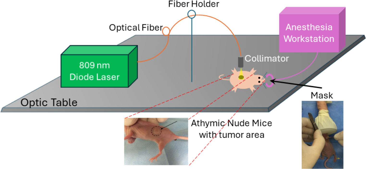 Optimizing near infrared laser irradiation and photosensitizer accumulation period for indocyanine green-mediated photodynamic therapy in breast cancer xenografts: a focus on treatment and characterization