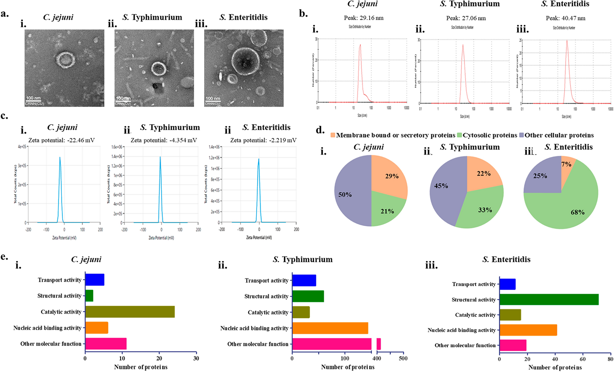 Trivalent outer membrane vesicles-based combination vaccine candidate induces protective immunity against Campylobacter and invasive non-typhoidal Salmonella in adult mice