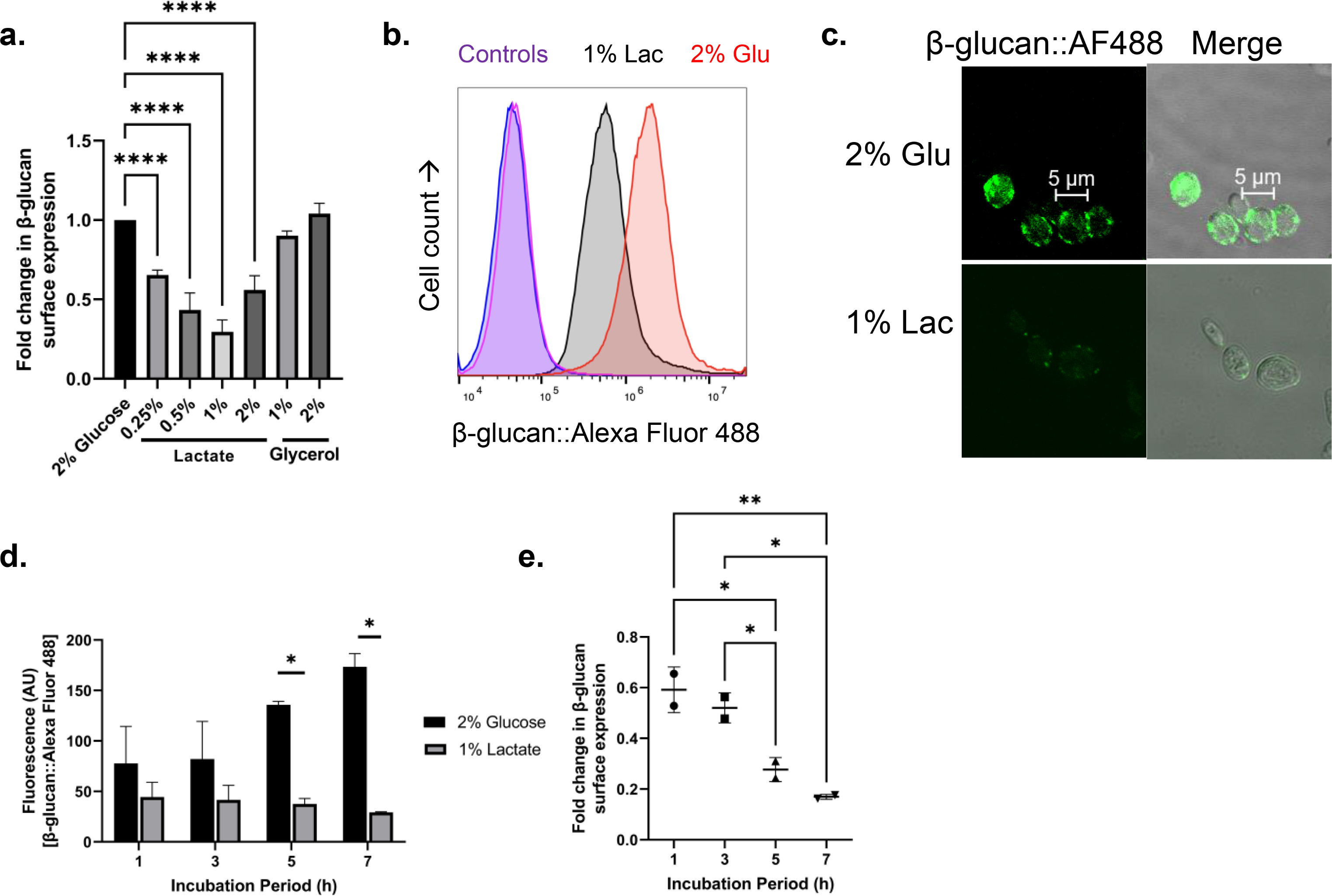 Alteration of β-glucan in the emerging fungal pathogen Candida auris leads to immune evasion and increased virulence