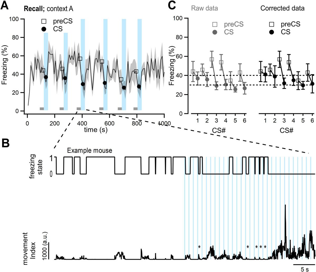 Auditory stimuli suppress contextual fear responses in safety learning independent of a possible safety meaning