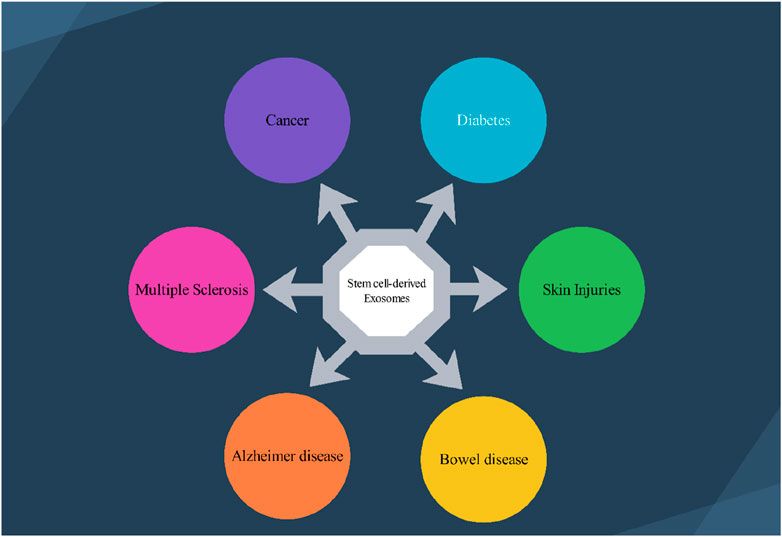 Advances in different adult stem cell-derived exosomal non-coding RNAs for the treatment of neurological disorders: a narrative review