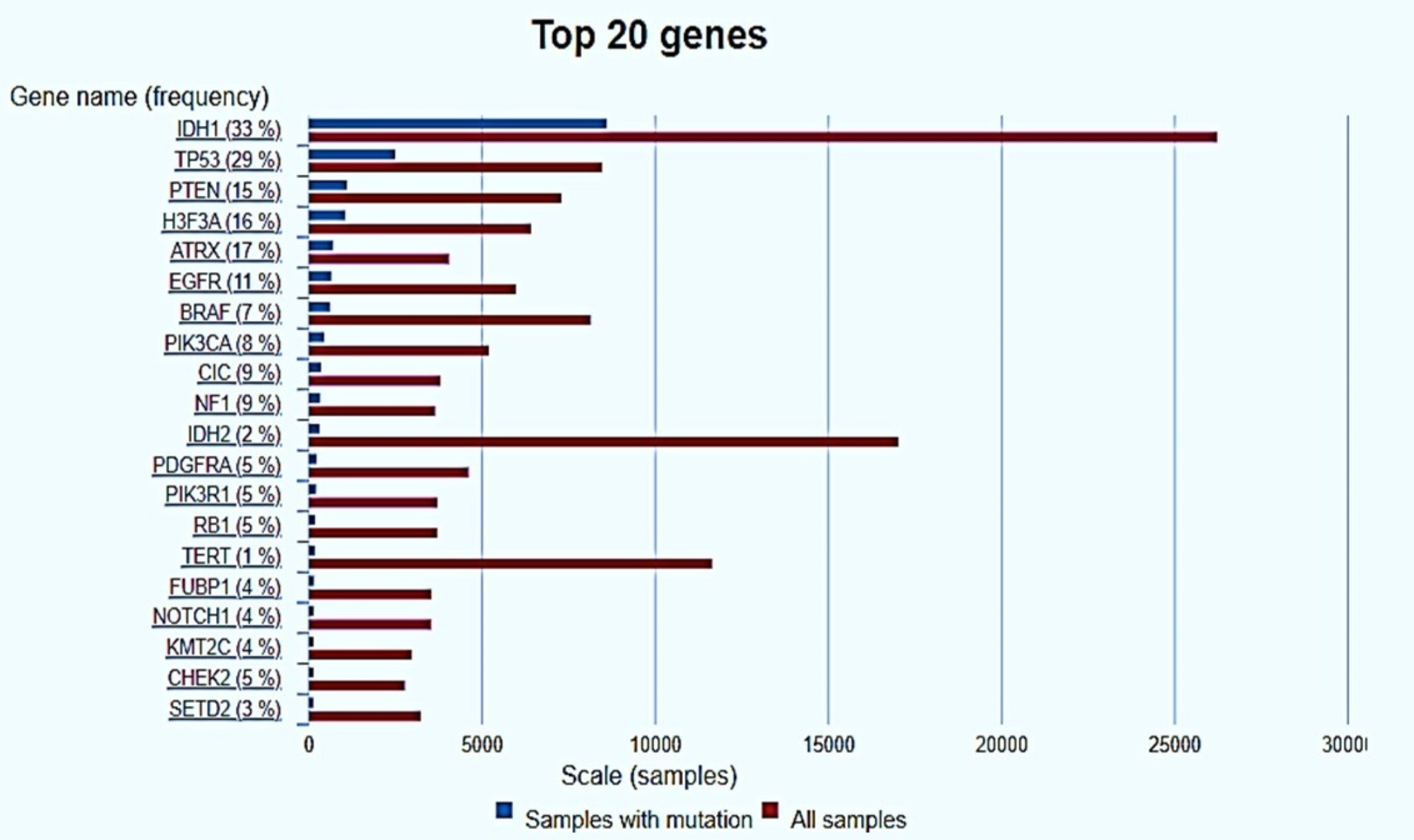 Genomic, epigenomic and transcriptomic landscape of glioblastoma