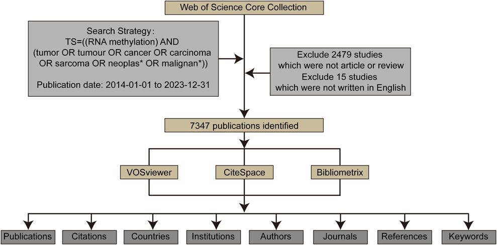 Trends and frontiers of RNA methylation in cancer over the past 10 years: a bibliometric and visual analysis