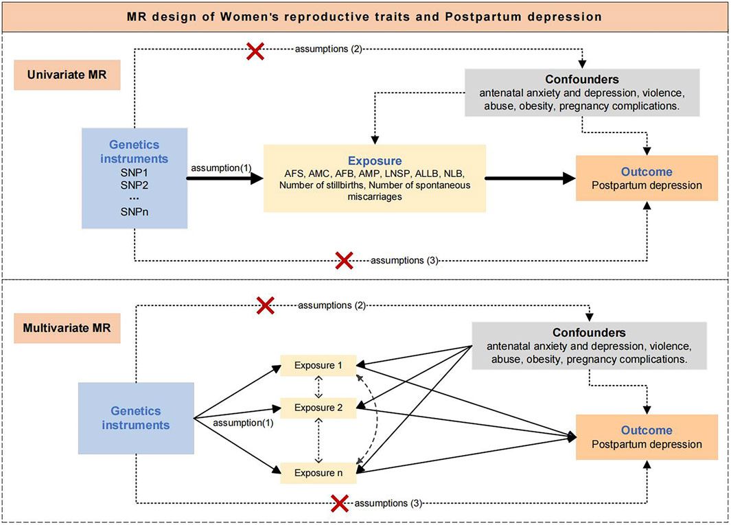 Causal relationship between Women’s reproductive traits and postpartum depression: a multivariate mendelian randomization analysis