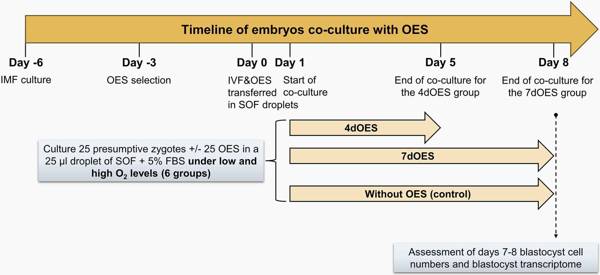 Oviduct epithelial spheroids during in vitro culture of bovine embryos mitigate oxidative stress, improve blastocyst quality and change the embryonic transcriptome