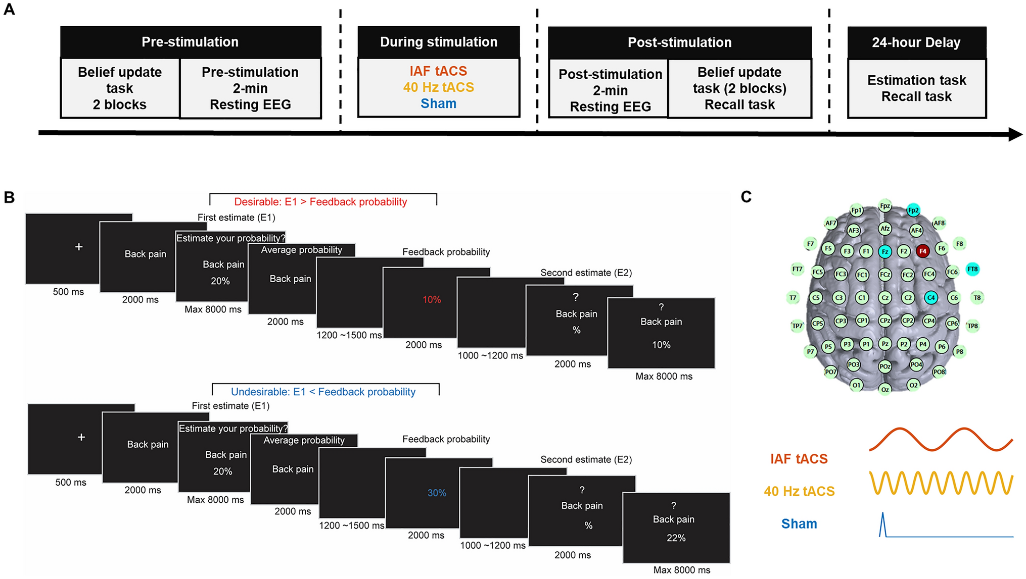 Right Frontal Gamma Transcranial Alternating Current Stimulation Modulates Optimism Biases