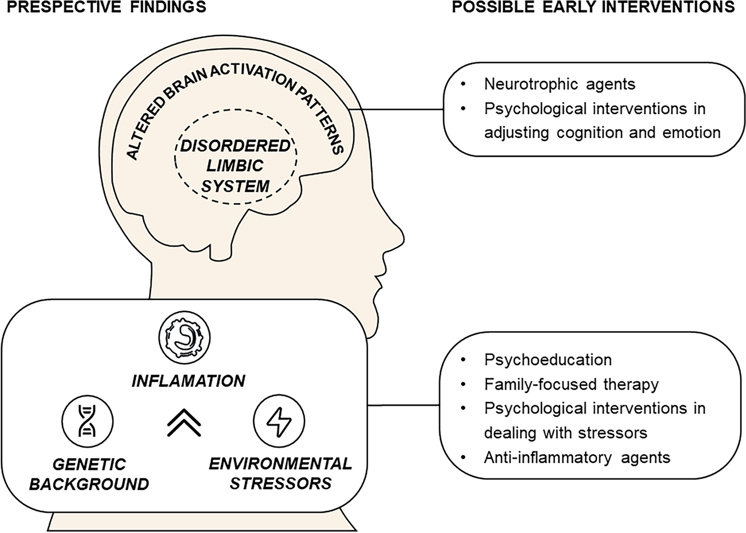 Putative Risk Biomarkers of Bipolar Disorder in At-risk Youth