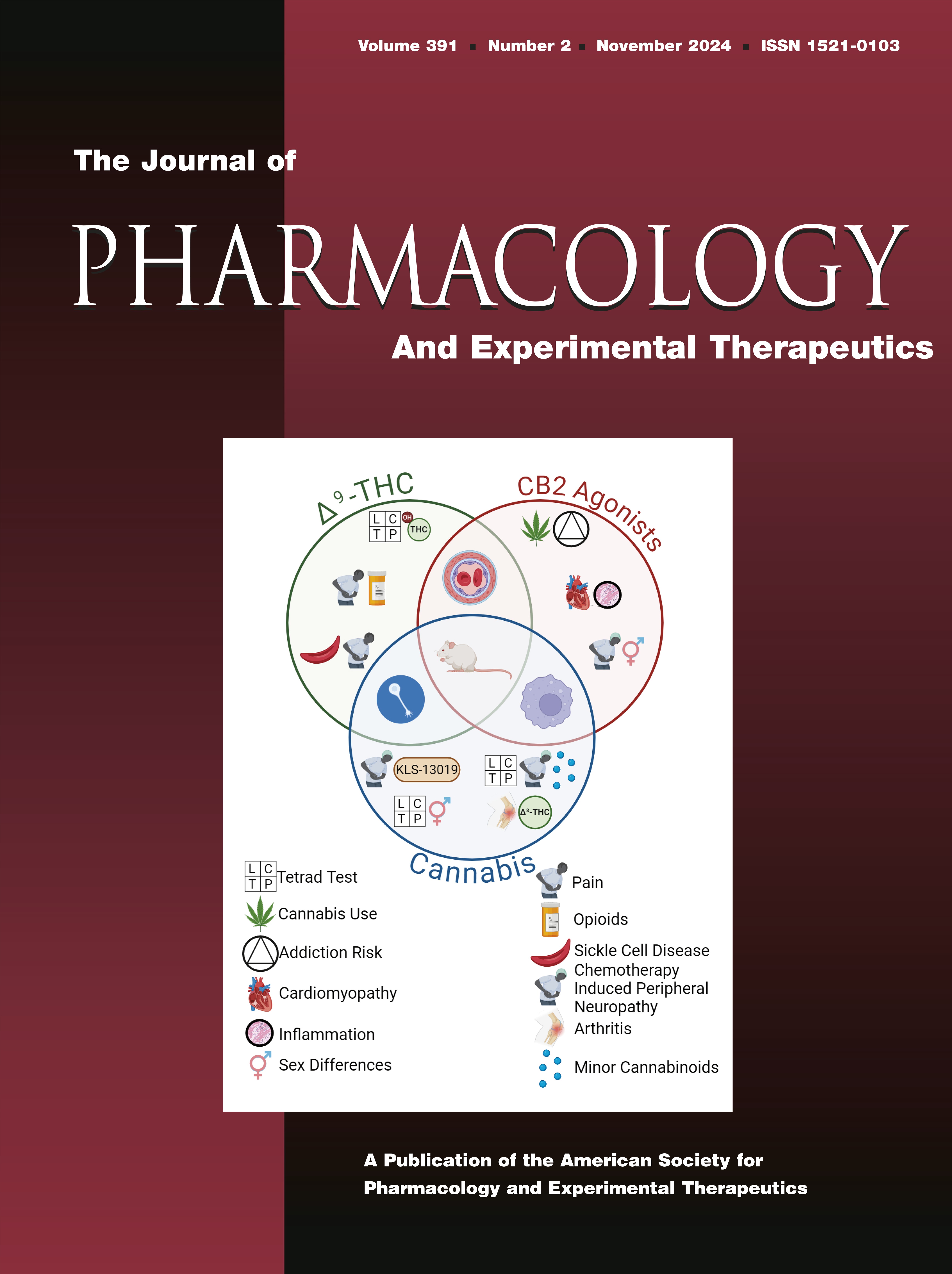 Chronic Administration of Cannabinoid Agonists ACEA, AM1241, and CP55,940 Induce Sex-Specific Differences in Tolerance and Sex Hormone Changes in a Chemotherapy-Induced Peripheral Neuropathy [Special Section: Cannabinoid Signaling in Human Health and Disease]