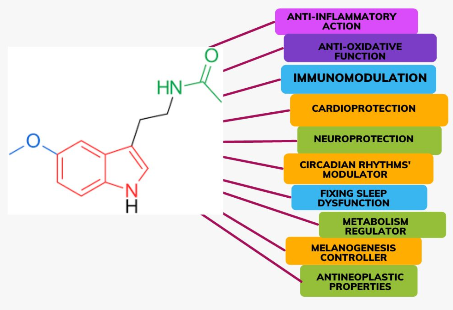 Blunted Melatonin Circadian Rhythm in Parkinson’s Disease: Express Bewilderment