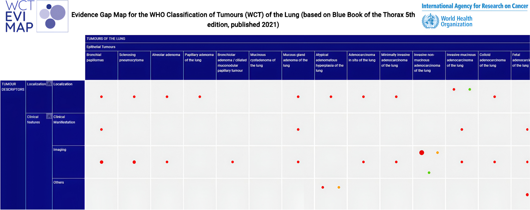 Exploratory evidence maps for the WHO Classification of Tumours 5th edition for lung and thymus tumors