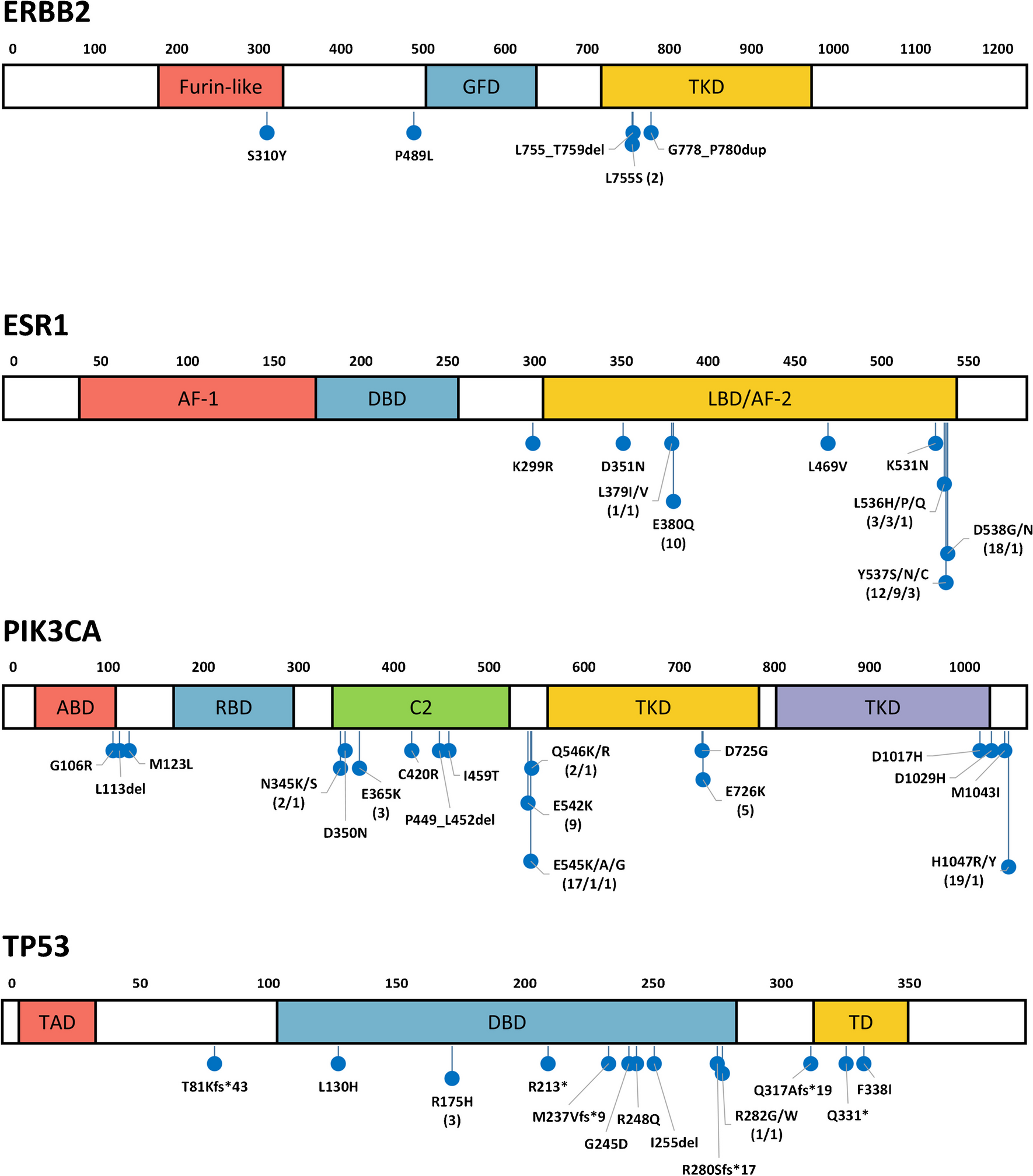 Diagnostic utility of ESR1 mutation detection in liquid biopsy of metastatic breast cancer patients