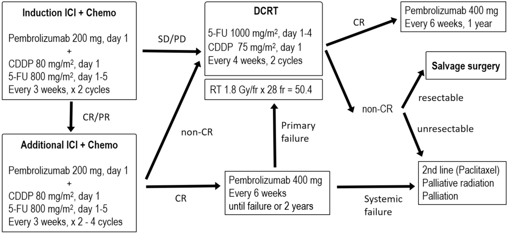 Pembrolizumab plus cisplatin and fluorouracil as induction chemotherapy followed by definitive chemoradiotherapy for patients with cT4 and/or supraclavicular lymph node metastasis (M1Lym) of esophageal squamous cell carcinoma