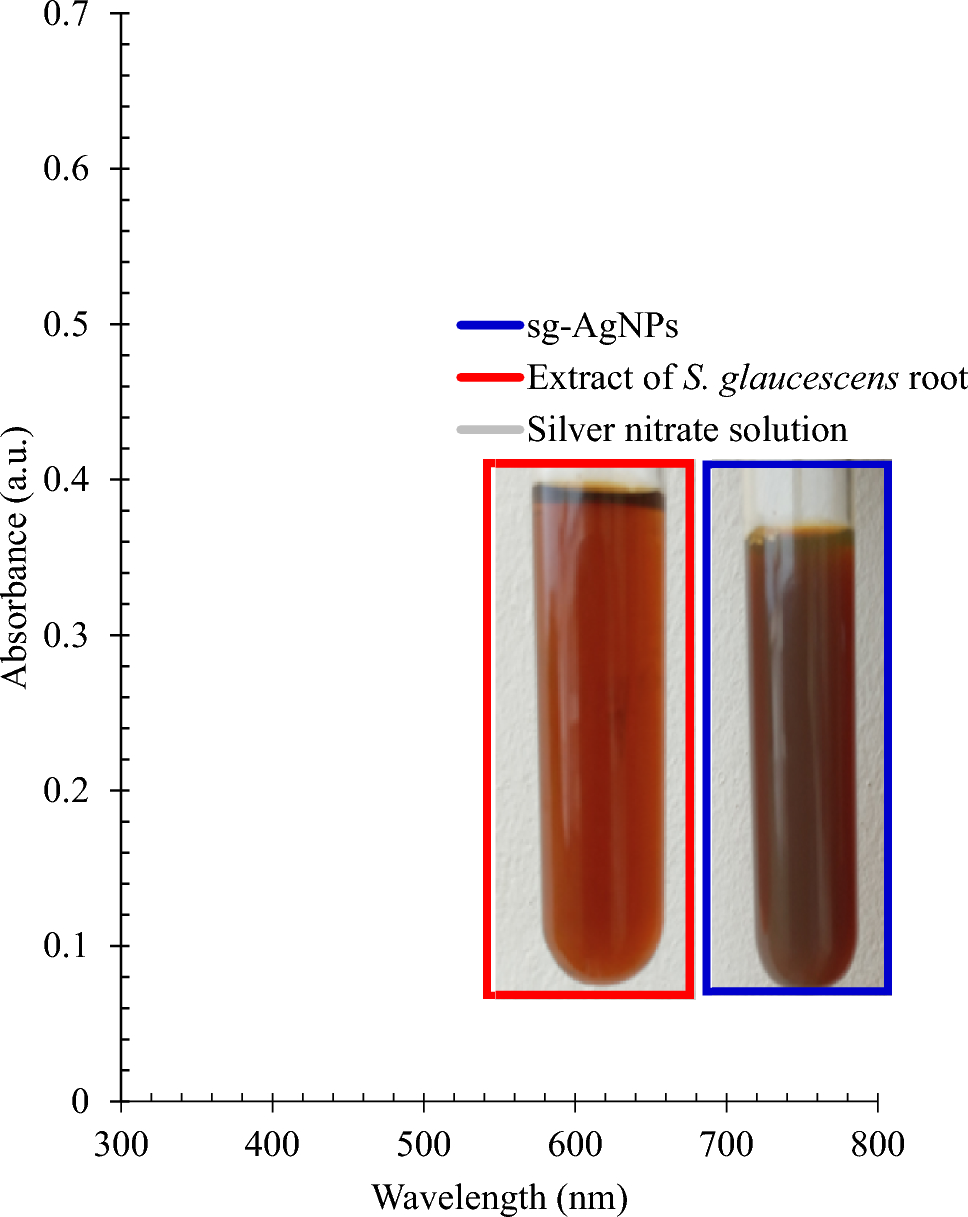 Antimicrobial silver nanoparticles derived from Synadenium glaucescens exhibit significant ecotoxicological impact in waste stabilization ponds