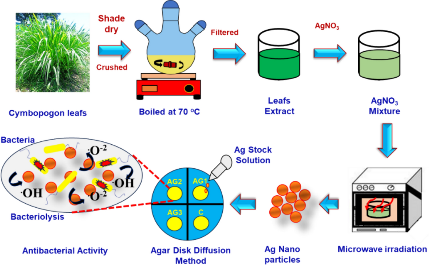 Microwave-assisted biosynthesis of silver nanoparticles for potential antibacterial activity