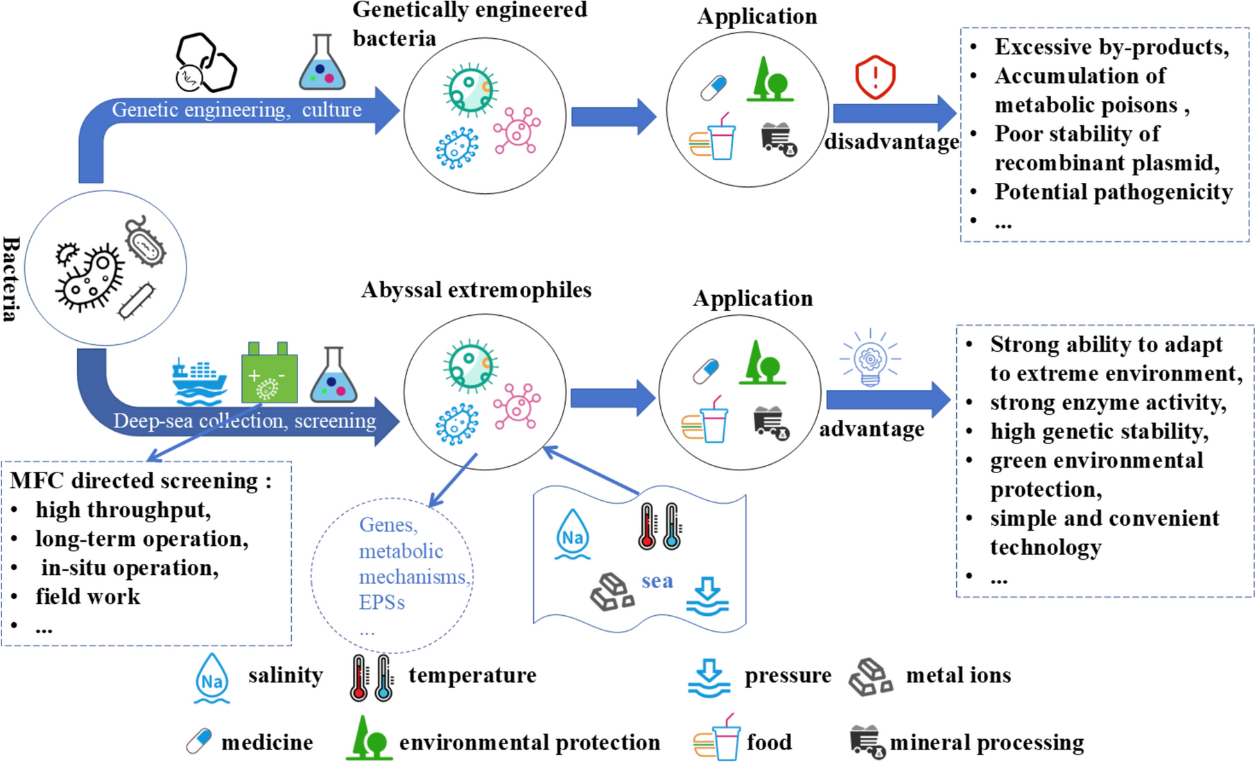 Exploration of the advantages of targeted isolation of deep-sea microorganisms and genetically engineered strains