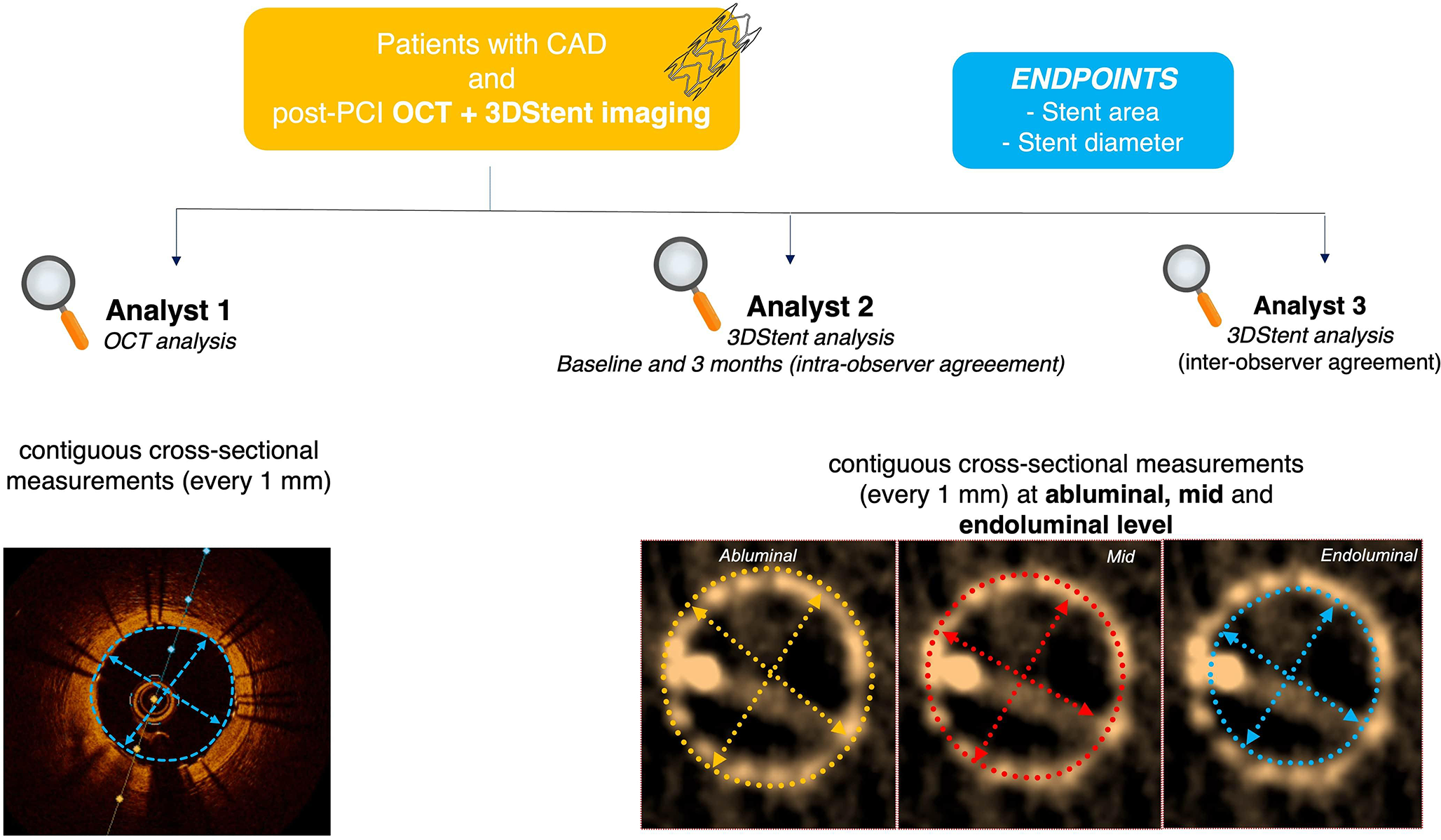 Agreement and reproducibility between 3DStent vs. Optical Coherence Tomography for evaluation of stent area and diameter