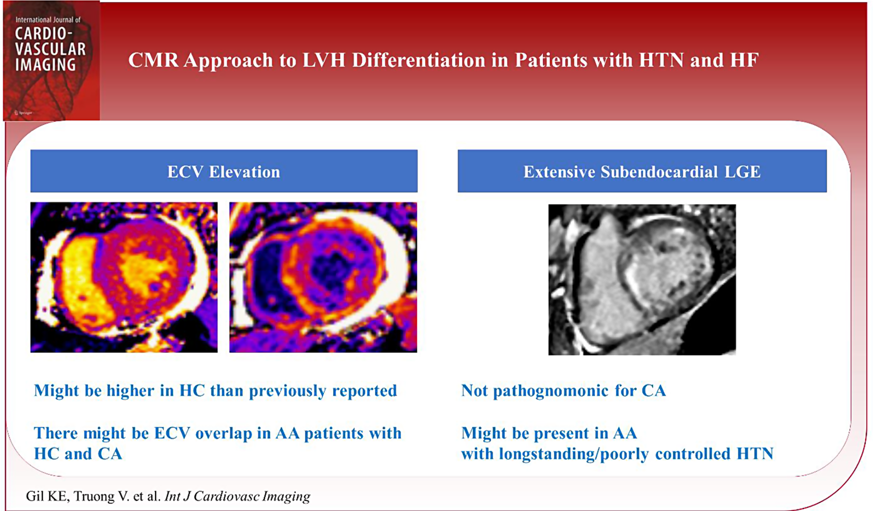 Distinguishing hypertensive cardiomyopathy from cardiac amyloidosis in hypertensive patients with heart failure: a CMR study with histological confirmation