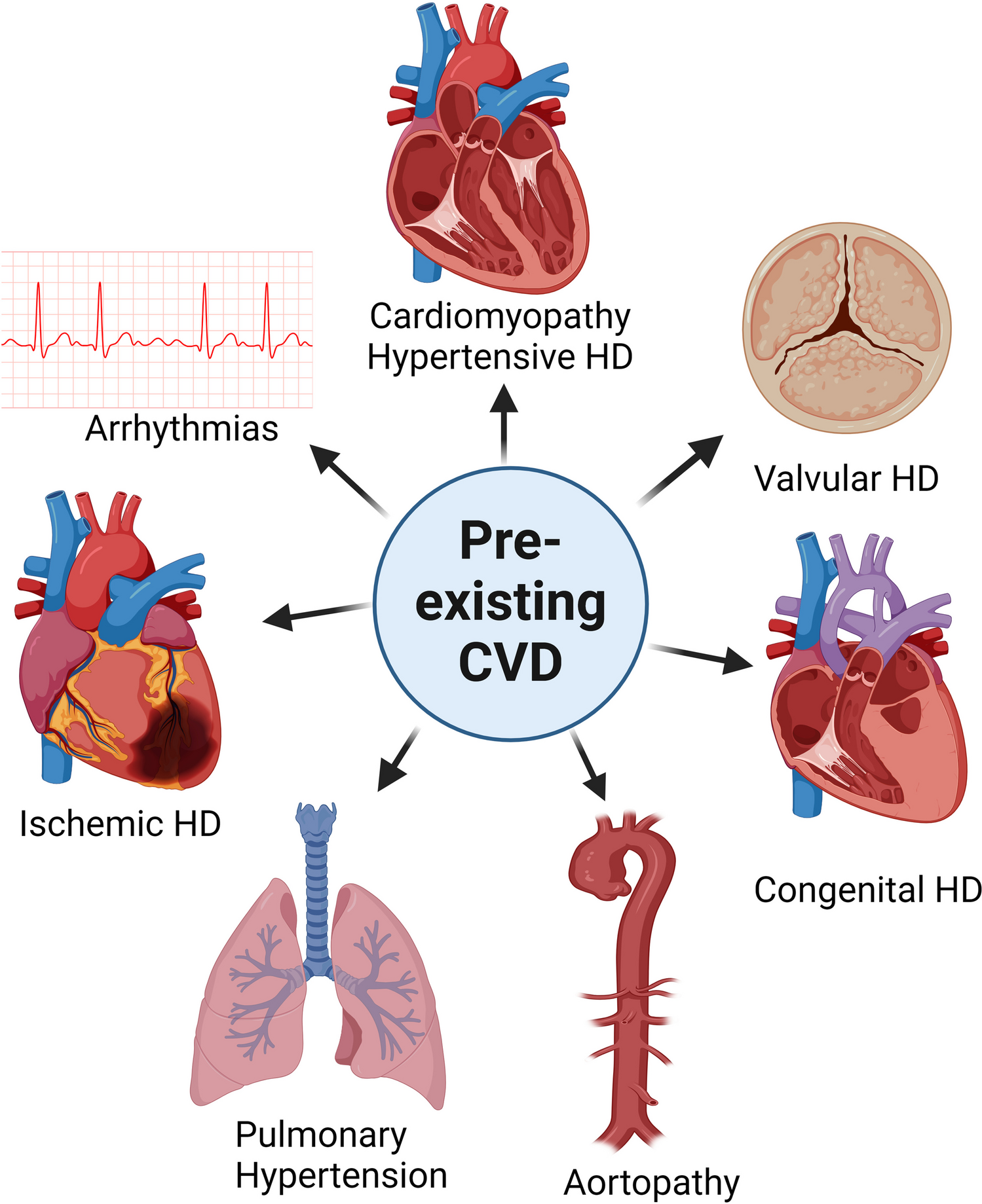 Echocardiography for Management of Cardiovascular Disease in Pregnancy