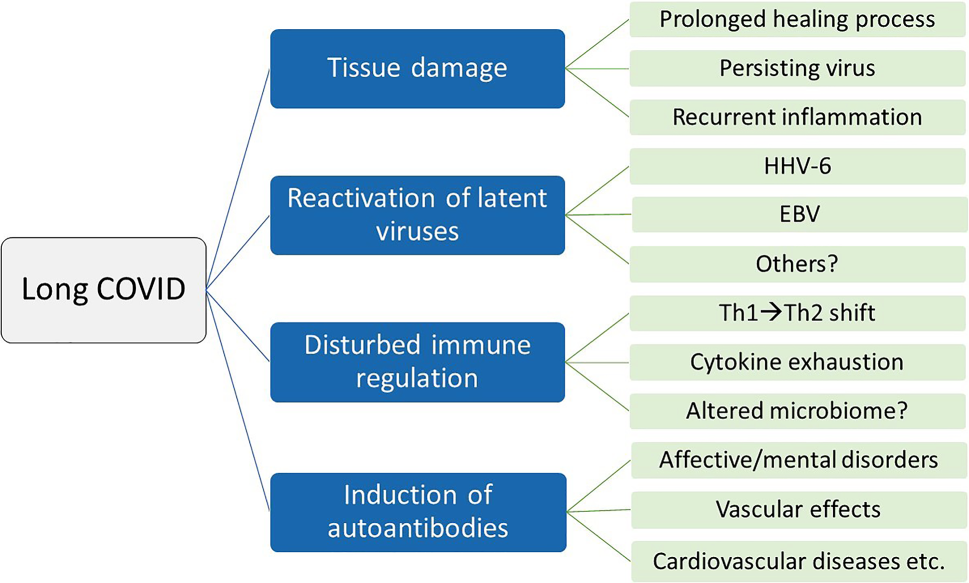 A short story of long COVID
