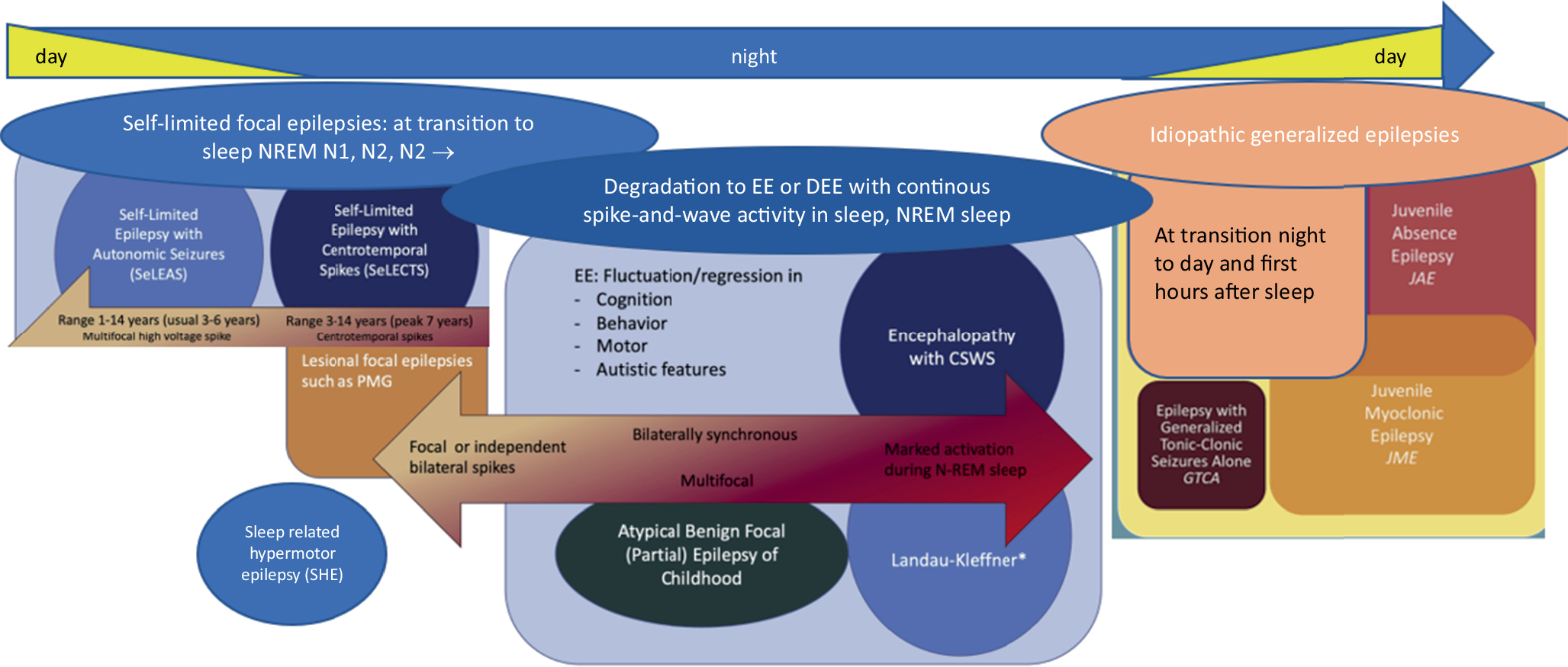 Sleep-related epilepsies in the course of development in childhood