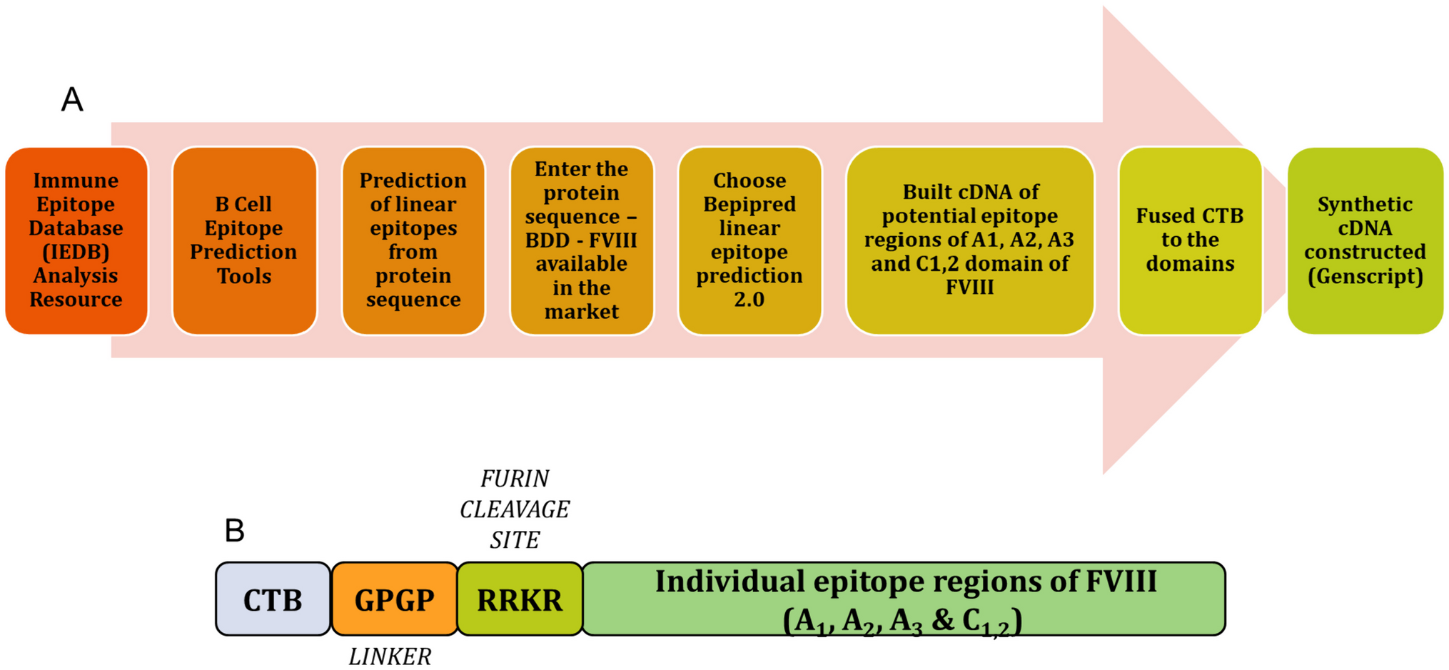 The use of Bacillus subtilis as a cost-effective expression system for production of Cholera Toxin B fused factor VIII epitope regions applicable for inducing oral immune tolerance