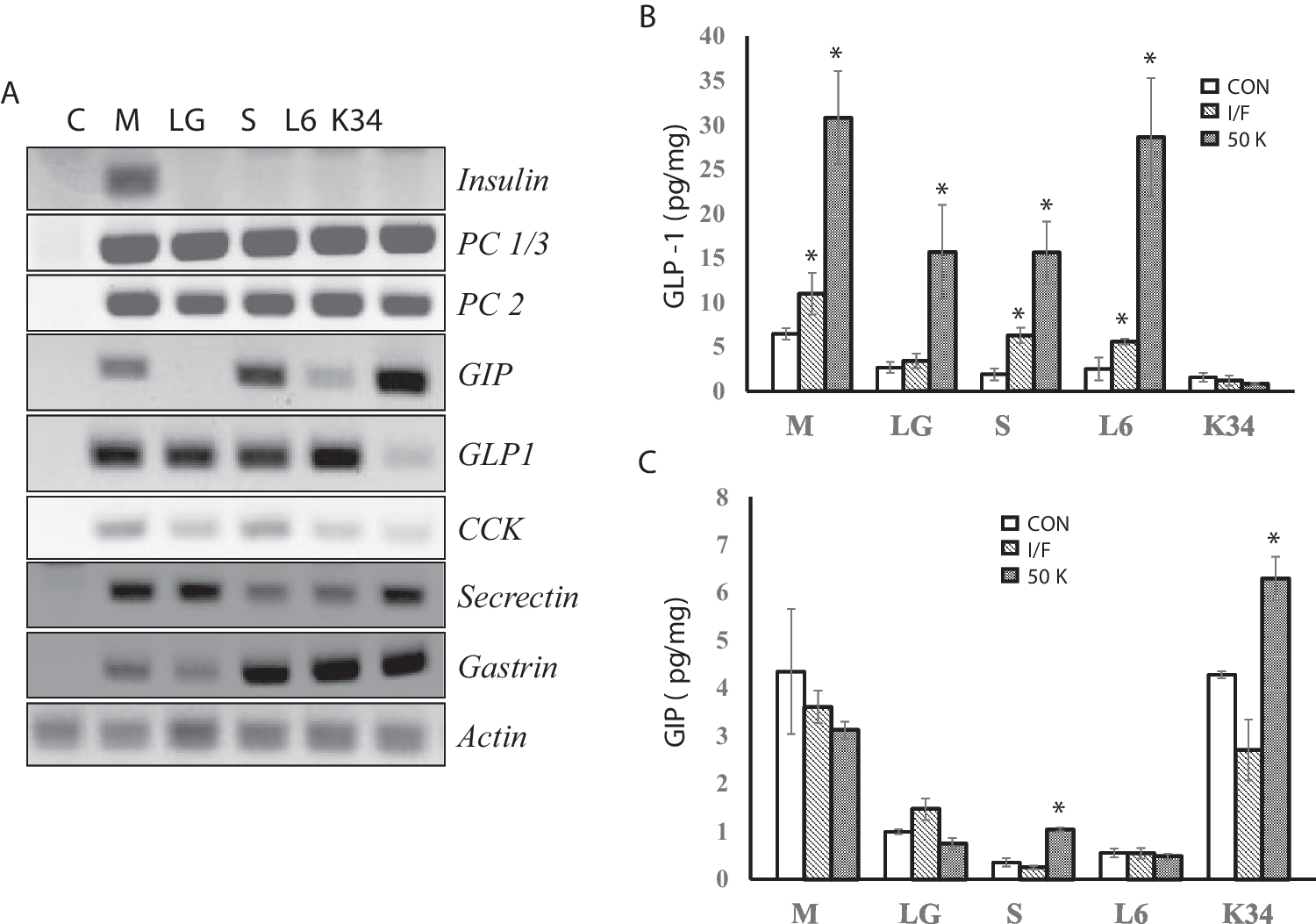 Effect of transcription factor MEOX on insulin gene expression in glucagon-like peptide 1-secreting cells