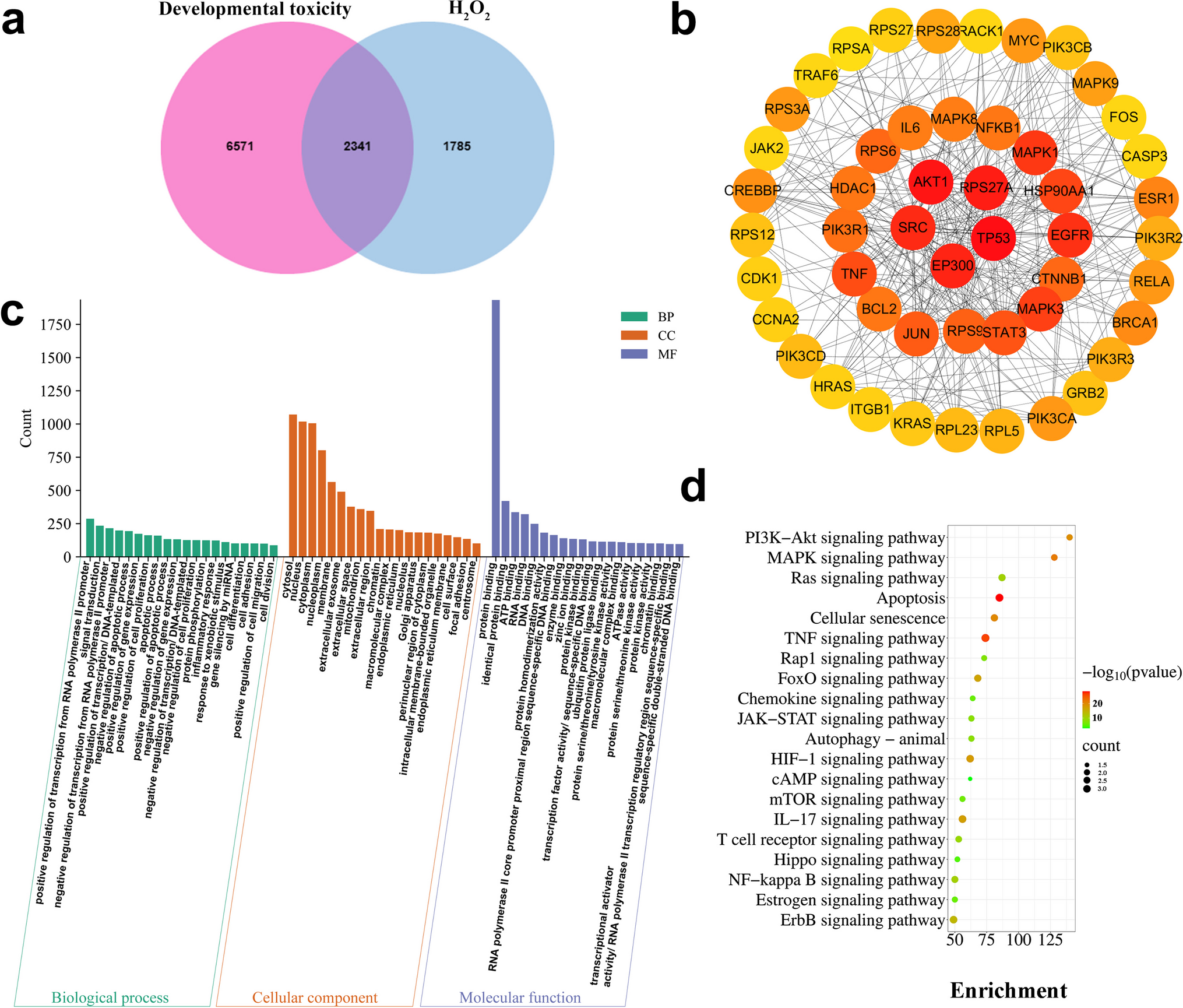 Role of NF-κB signaling pathway in H2O2-induced oxidative stress of hiPSCs