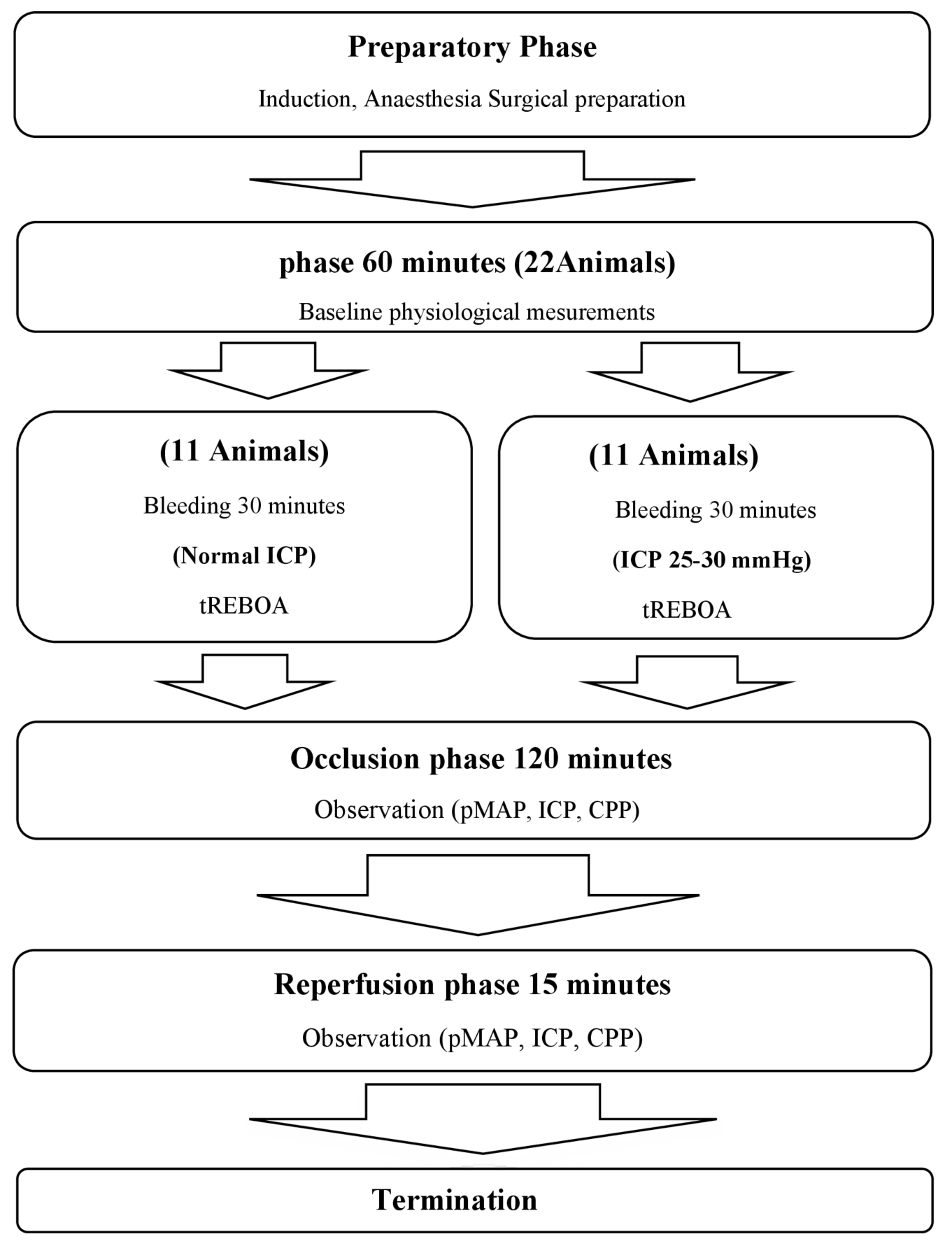 Cerebral haemodynamics and intracranial pressure during haemorrhagic shock and resuscitation with total endovascular balloon occlusion of the aorta in an animal model