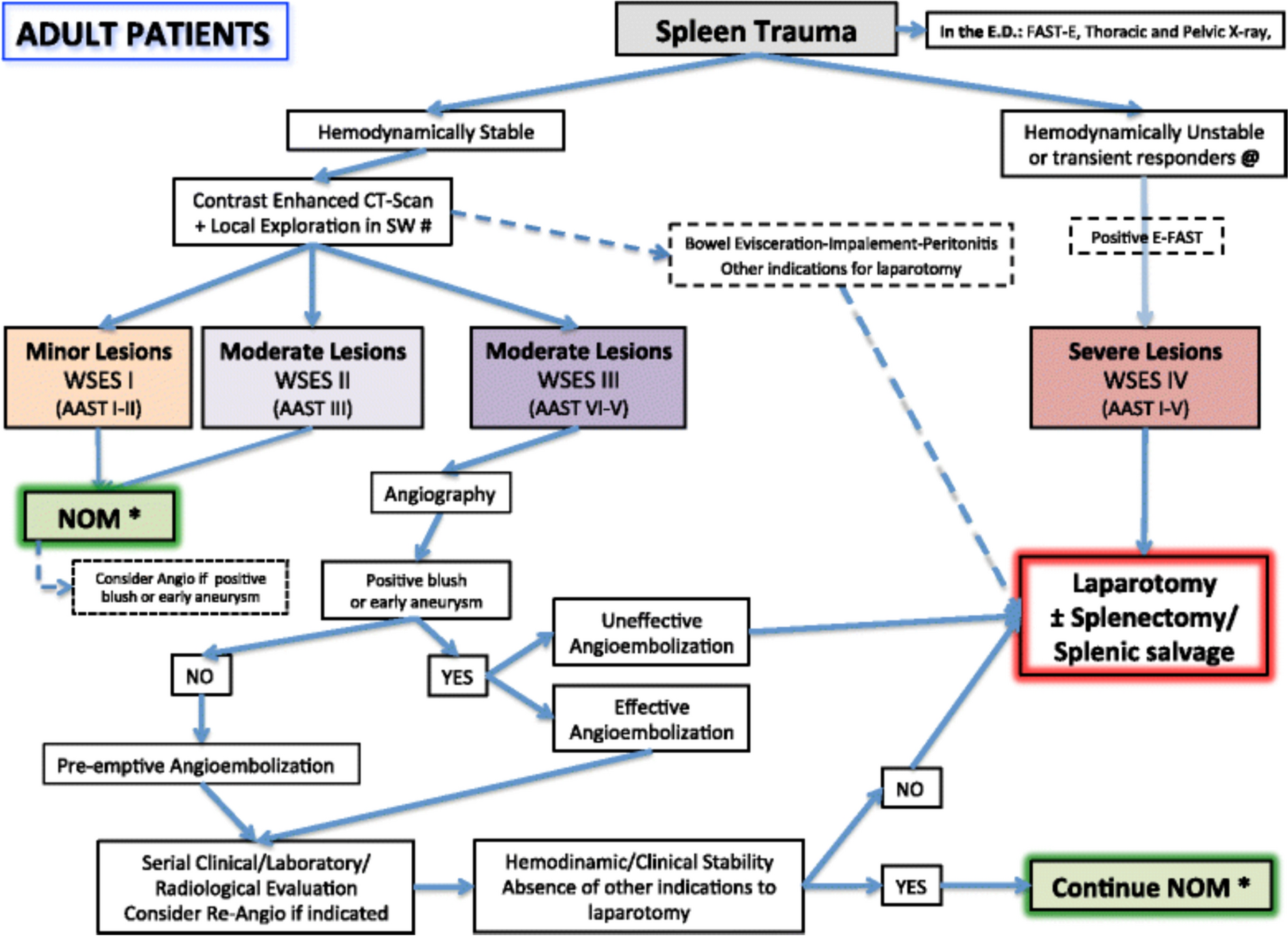 Angioembolization in patients with blunt splenic trauma in Germany –guidelines vs. Reality a retrospective registry-based cohort study of the TraumaRegister DGU®