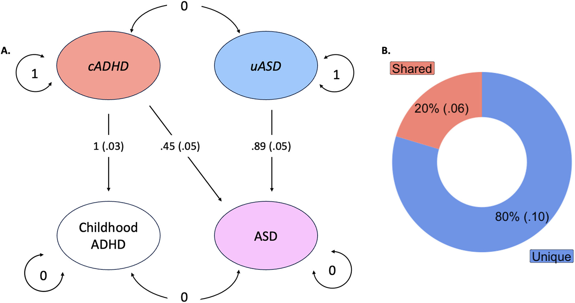 Characterizing genetic pathways unique to autism spectrum disorder at multiple levels of biological analysis