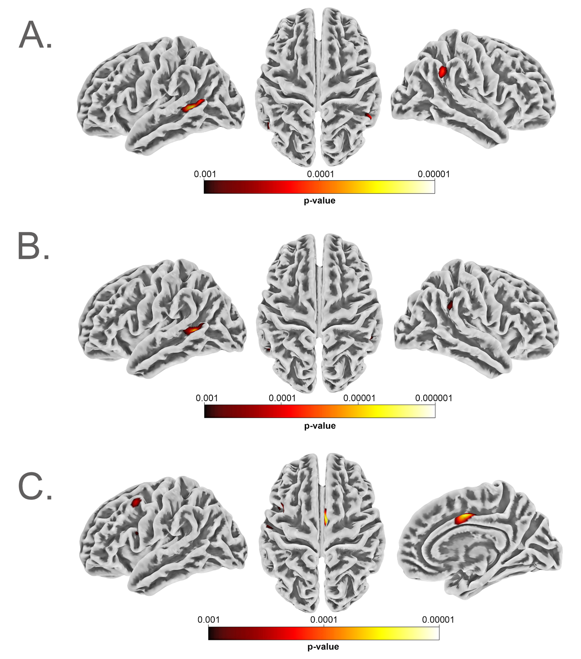 Superior temporal sulcus folding, functional network connectivity, and autistic-like traits in a non-clinical population