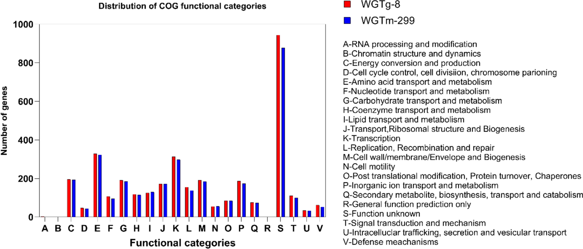 Whole-Genome Sequencing And Characterization Of Two Bacillus velezensis Strains from Termitarium and A Comprehensive Comparative Genomic Analysis of Biosynthetic Gene Clusters