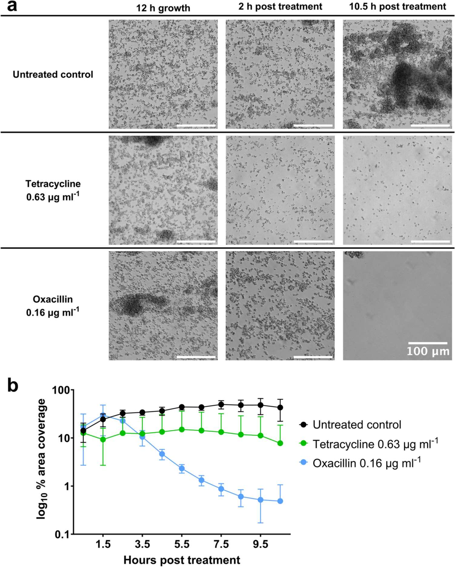 Tetracycline and Oxacillin Act Synergistically on Biofilms and Display Increased Efficacy In Vivo Against Staphylococcus aureus