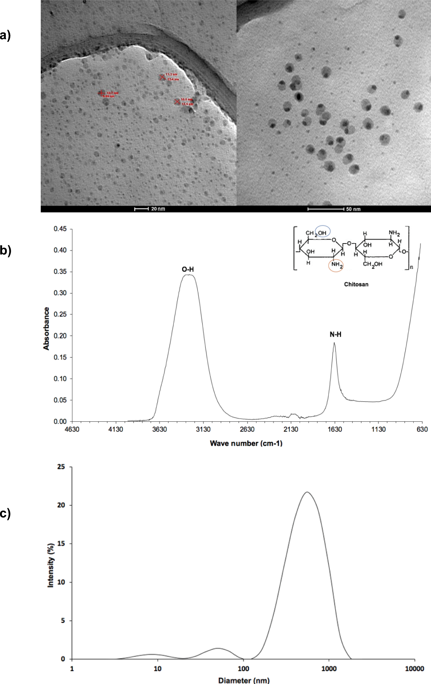 Acute Phytotoxicity and Antifungal Effect of Nanochitosan Particles on Colletotrichum fructicola with Low Susceptibility to Chitosan