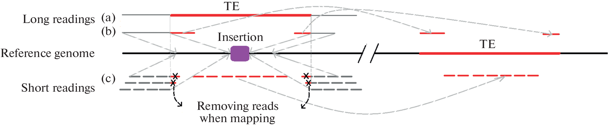 Search for Transposable Element Insertions and Chromosomal Rearrangements That Change Gene Expression in D. melanogaster Strains with Impaired Transposition Control of gypsy Retrotransposon