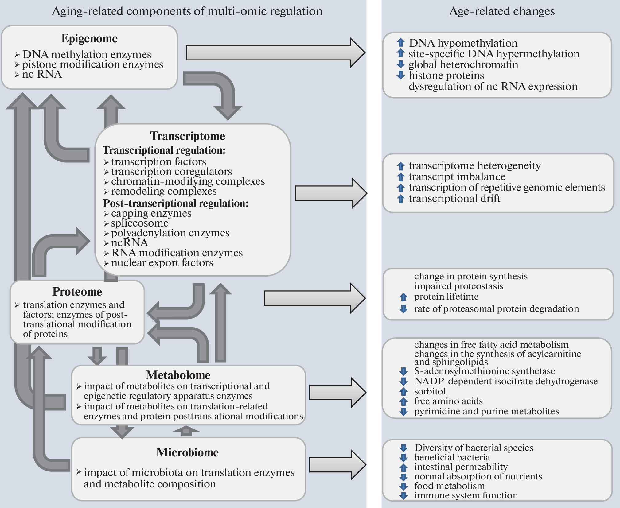 Multi-Omic Rejuvenation: A New Strategy for Lifespan Extension