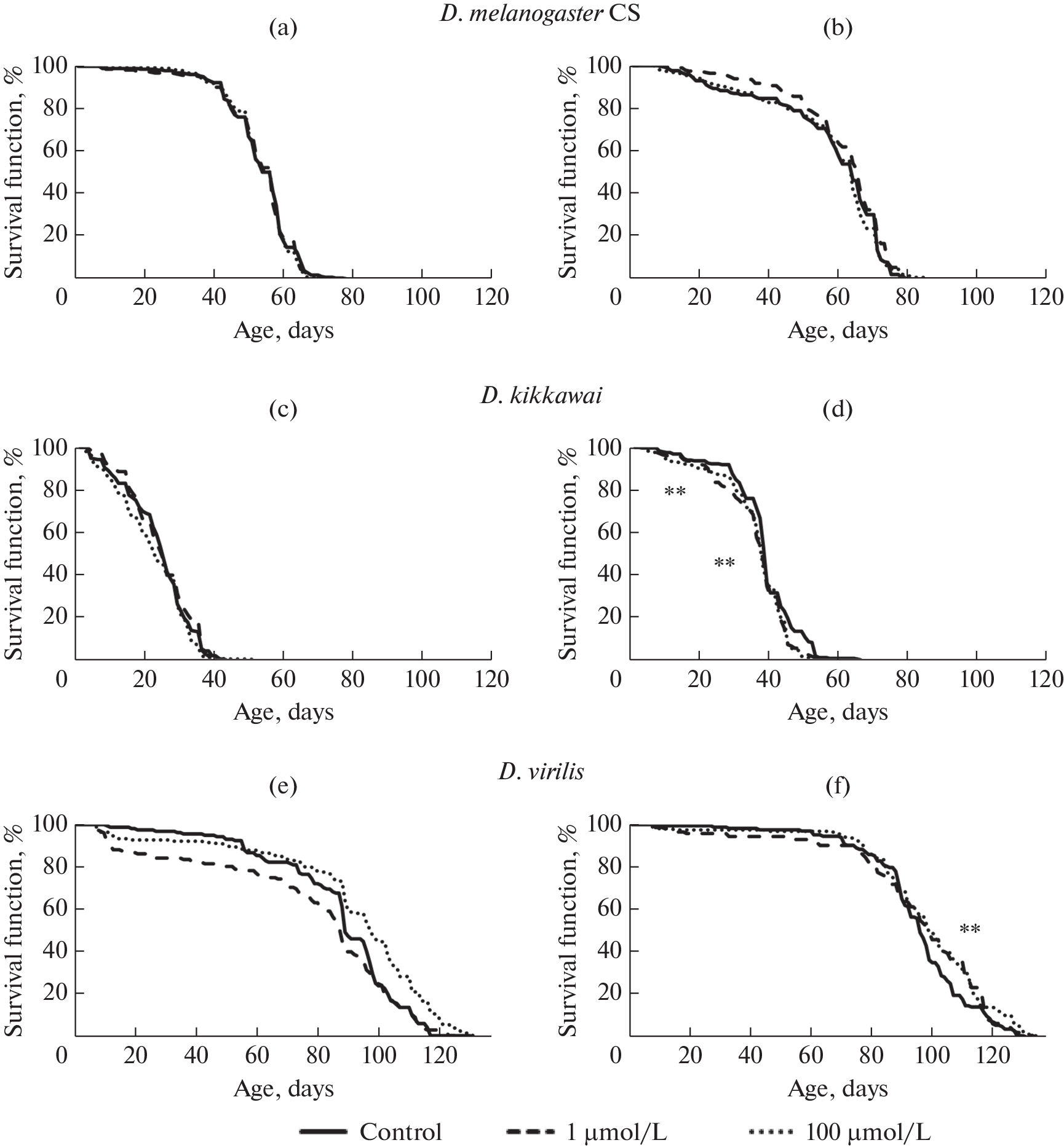 Geroprotective Properties of the ATM Inhibitor KU-60019 in Three Drosophila Species Differing in Lifespan