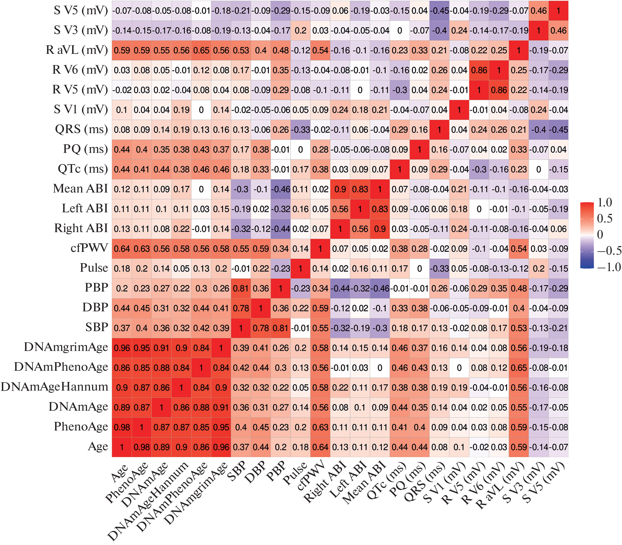 New Epigenetic Markers of Age-Dependent Changes in the Cardiovascular System