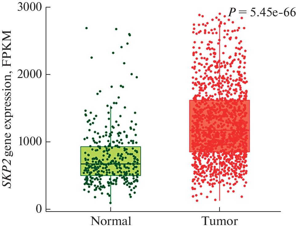 Silencing of the S-Phase Kinase-Associated Protein 2 Gene (SKP2) Inhibits Proliferation and Migration of Hepatocellular Carcinoma Cells