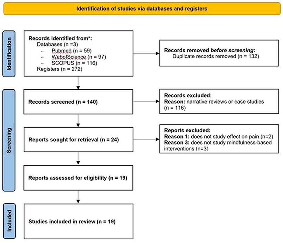 Pain, mindfulness, and placebo: a systematic review