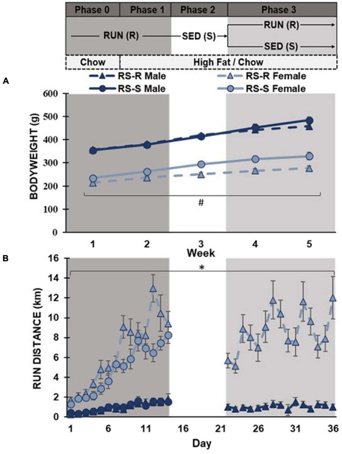 Voluntary wheel running access produces opposite effects in male and female rats on both palatable diet consumption and associated ventral striatal opioid- and dopamine-related gene expression