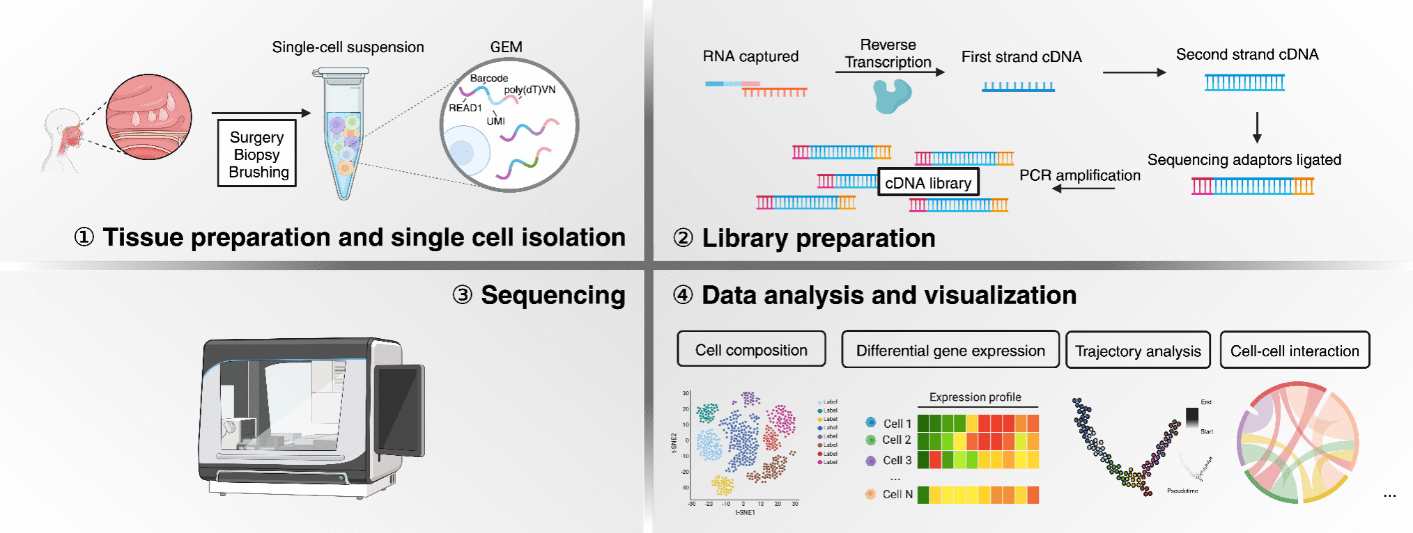 Uncovering the Cellular Microenvironment in Chronic Rhinosinusitis via Single-Cell RNA Sequencing: Application and Future Directions