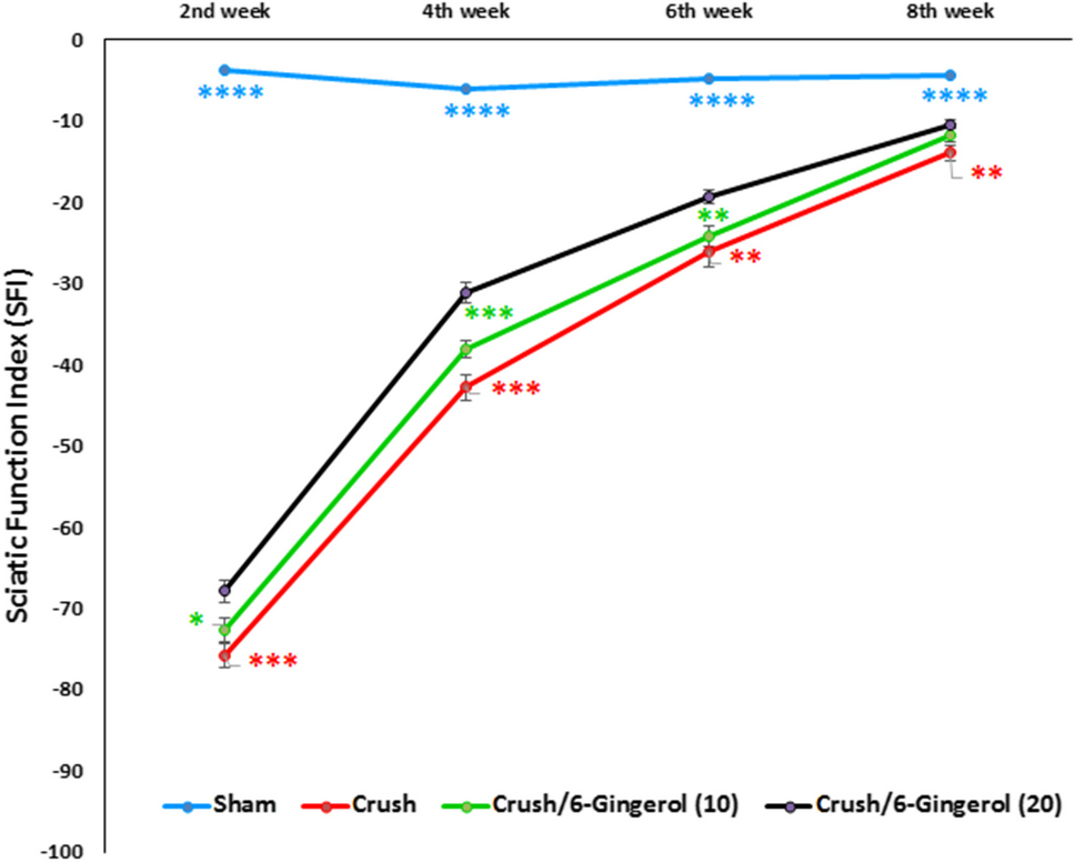 Therapeutic Effects of 6-Gingerol in Nerve Regeneration Following Sciatic Nerve Crush Injury: A Rat Model Study